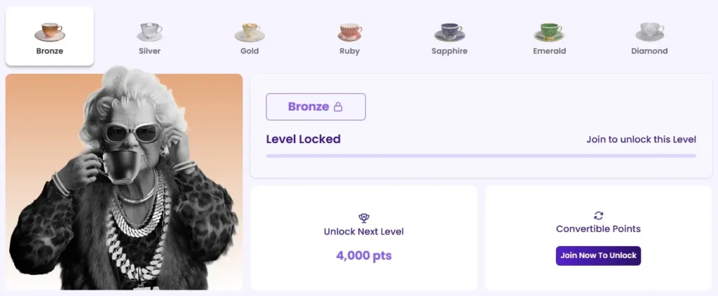 VIP program and Levels at Casino Tea Spins